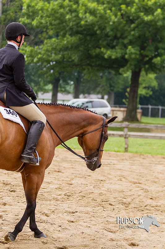 4H-2nd--072813-2443.jpg