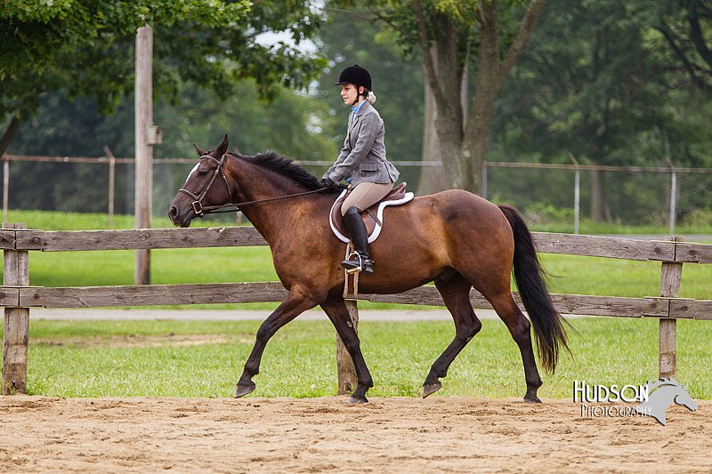 4H-2nd--072813-2366.jpg