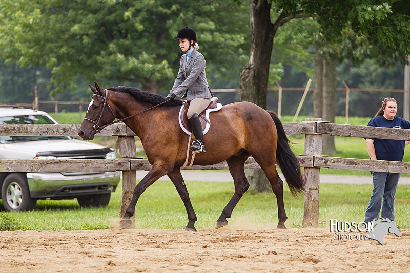 4H-2nd--072813-2367.jpg
