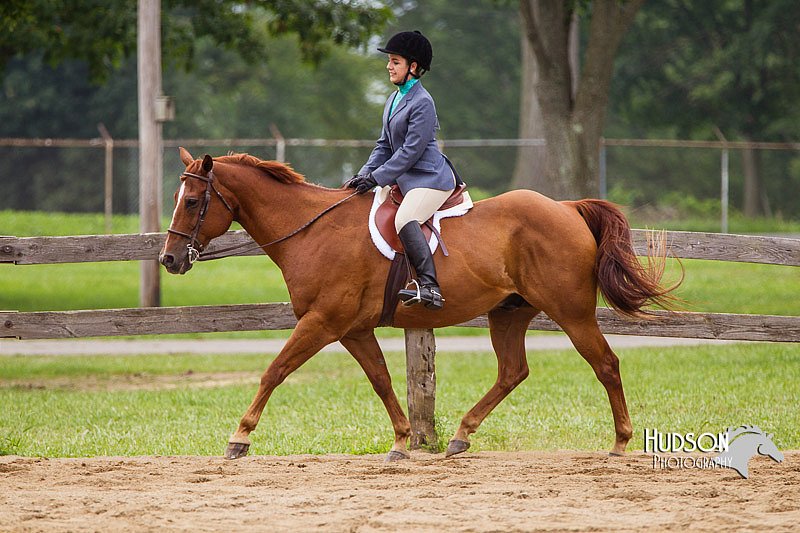 4H-2nd--072813-2368.jpg