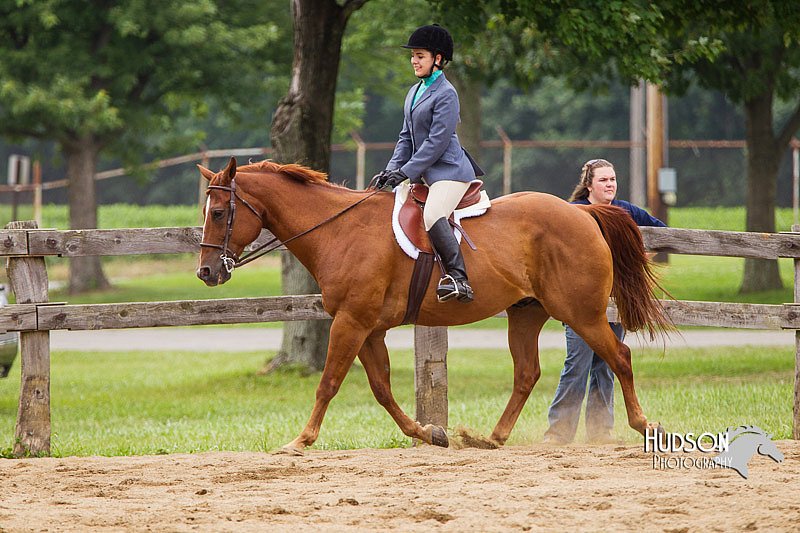 4H-2nd--072813-2370.jpg