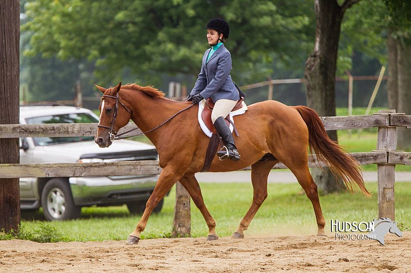 4H-2nd--072813-2371.jpg