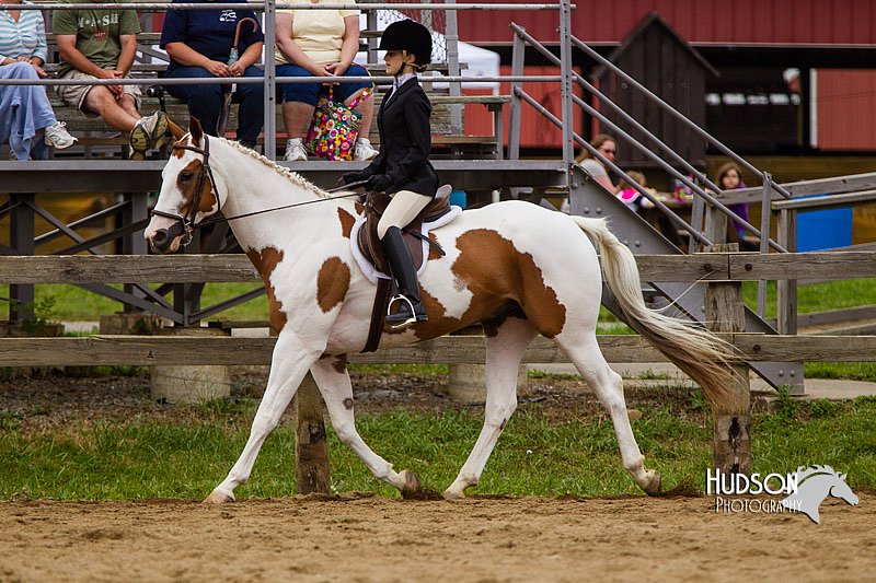 4H-2nd--072813-2374.jpg