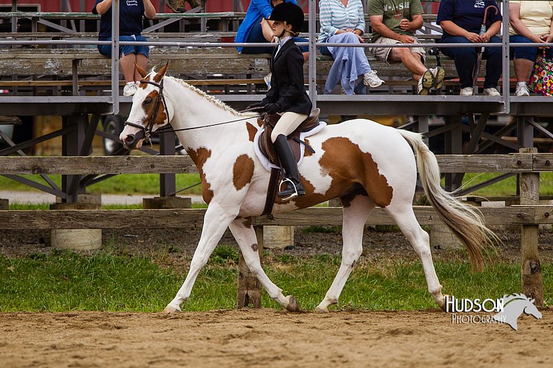 4H-2nd--072813-2375.jpg
