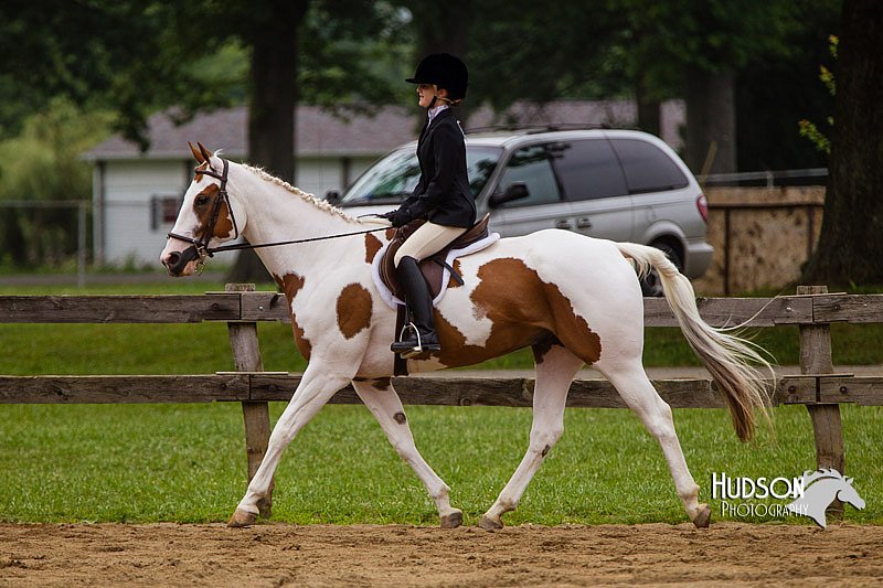 4H-2nd--072813-2376.jpg