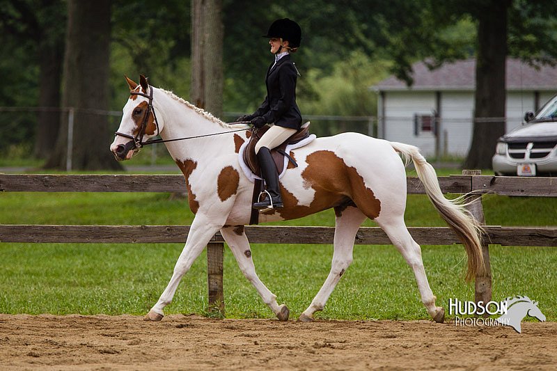 4H-2nd--072813-2377.jpg