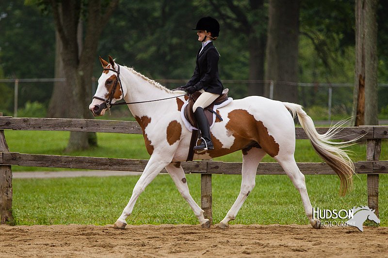 4H-2nd--072813-2378.jpg