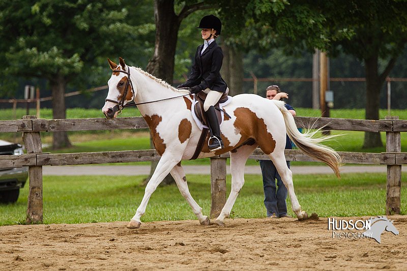 4H-2nd--072813-2380.jpg