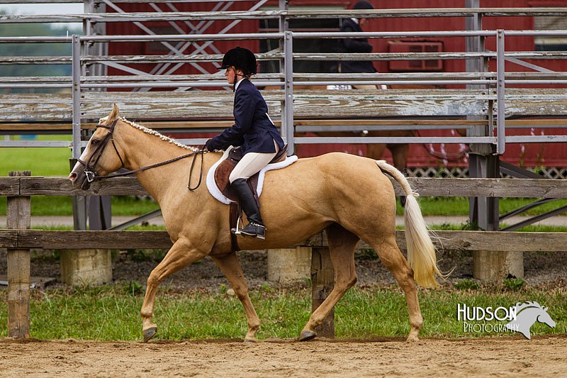 4H-2nd--072813-2381.jpg