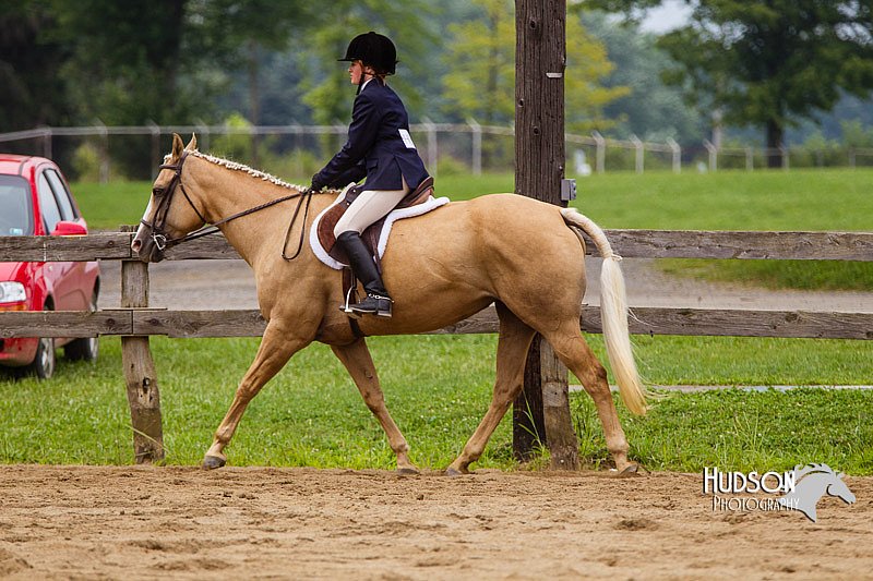 4H-2nd--072813-2383.jpg