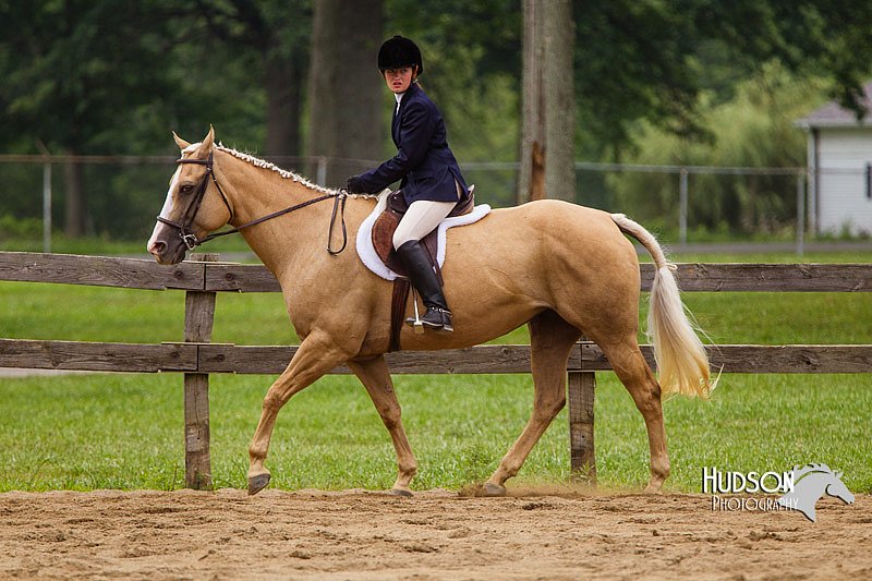 4H-2nd--072813-2384.jpg