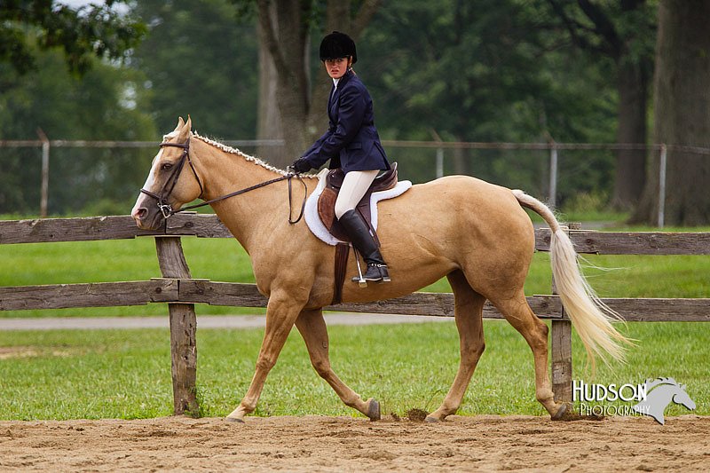 4H-2nd--072813-2385.jpg