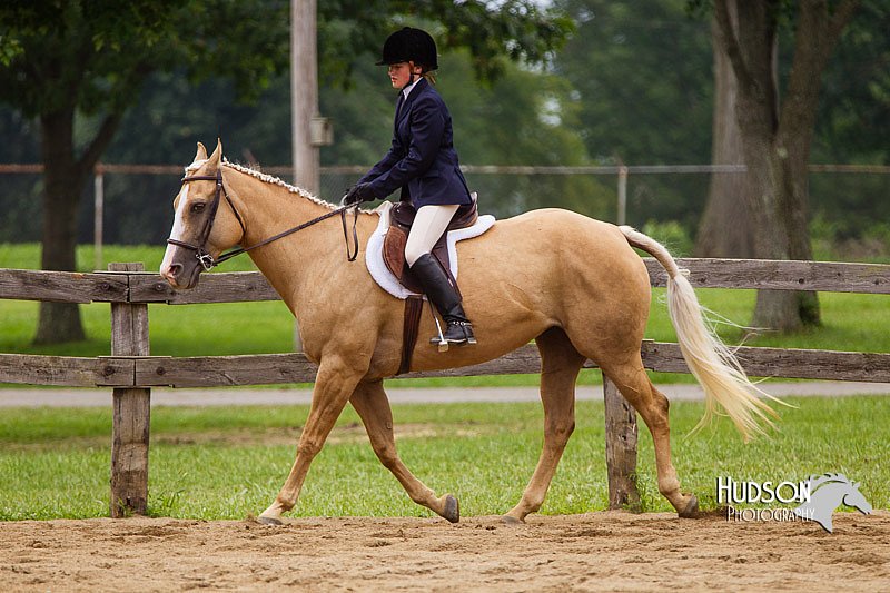 4H-2nd--072813-2386.jpg