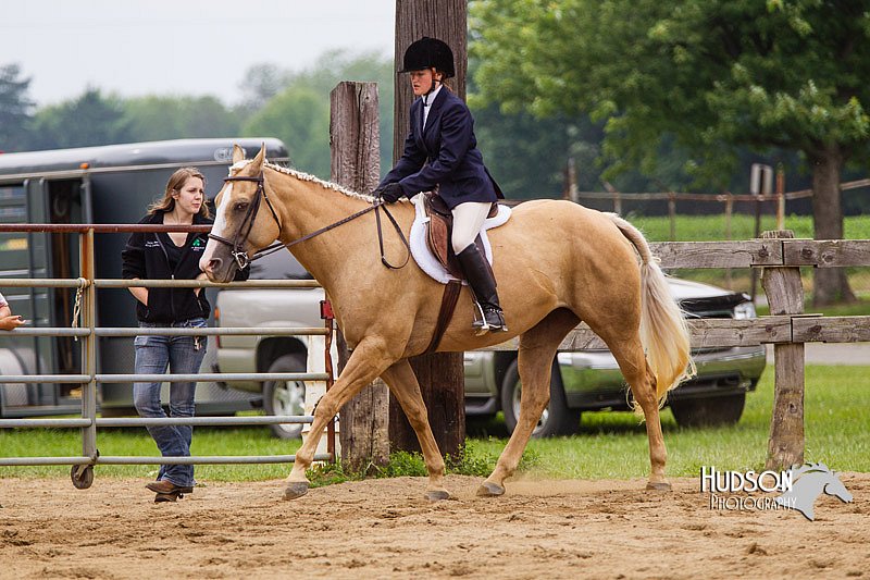 4H-2nd--072813-2388.jpg