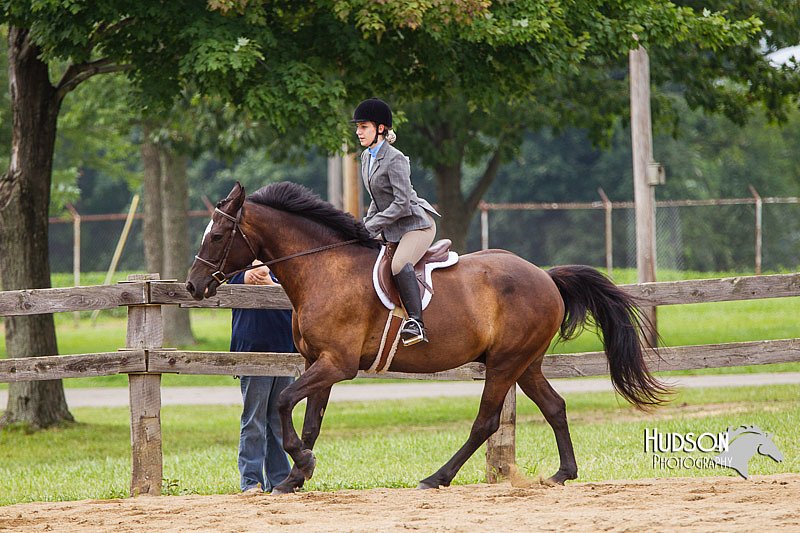 4H-2nd--072813-2390.jpg