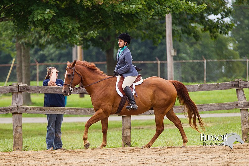 4H-2nd--072813-2391.jpg