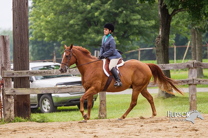 4H-2nd--072813-2392.jpg