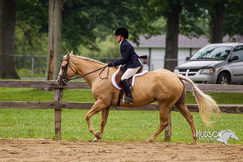 4H-2nd--072813-2394.jpg