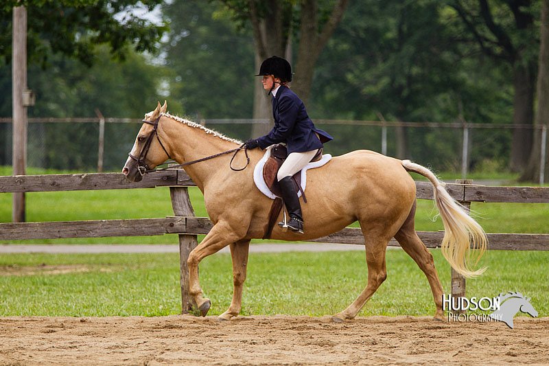 4H-2nd--072813-2395.jpg