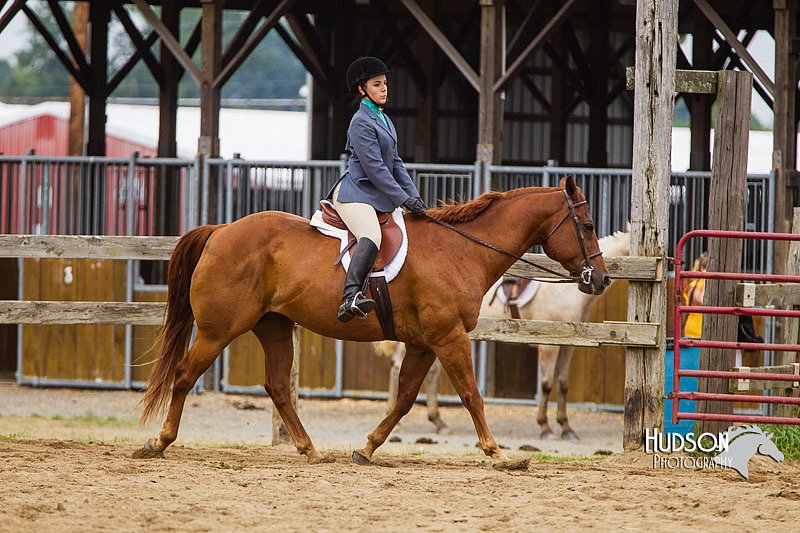 4H-2nd--072813-2397.jpg