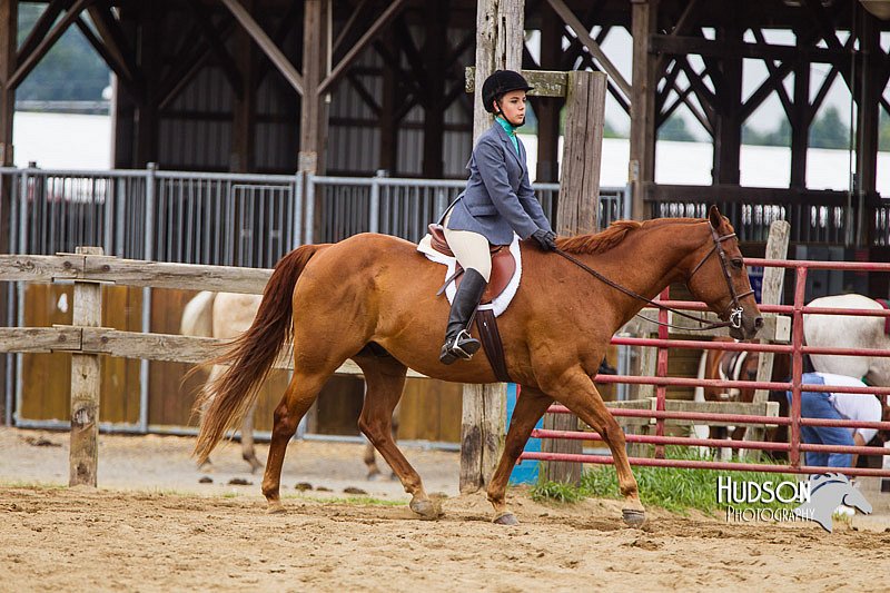 4H-2nd--072813-2398.jpg