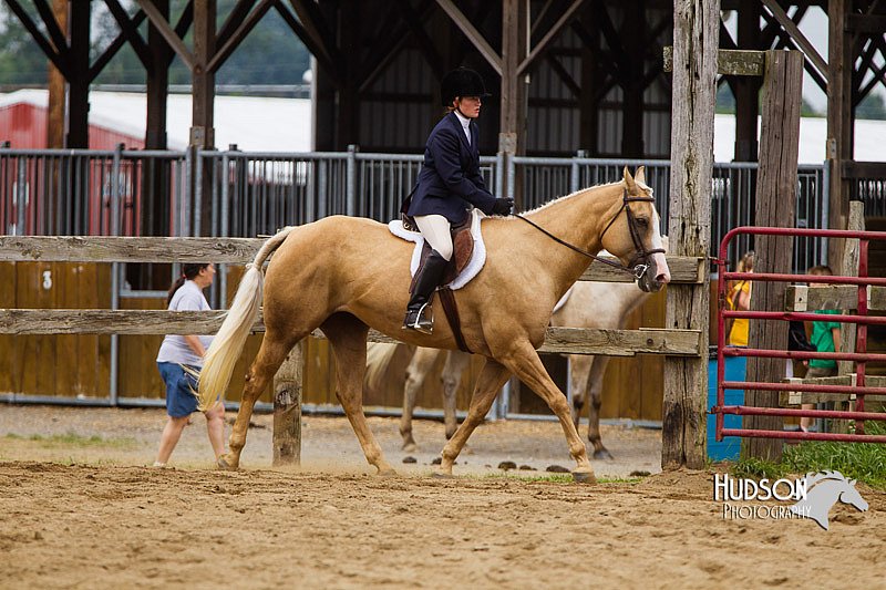 4H-2nd--072813-2399.jpg