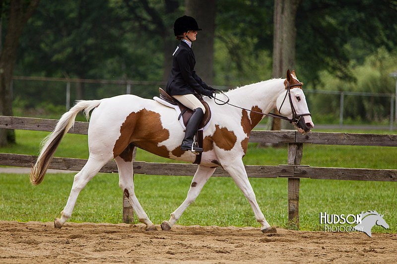 4H-2nd--072813-2400.jpg