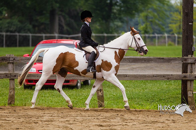 4H-2nd--072813-2402.jpg