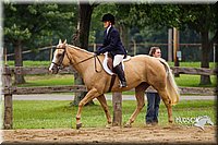 4H-2nd--072813-2387.jpg
