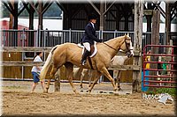 4H-2nd--072813-2399.jpg