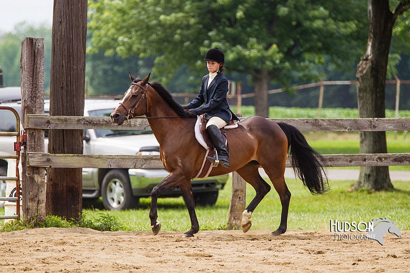 4H-2nd--072813-2505.jpg