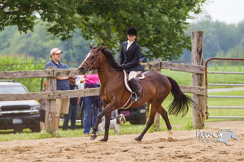4H-2nd--072813-2509.jpg