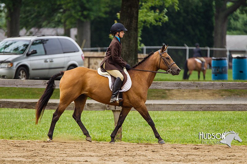 4H-2nd--072813-2511.jpg