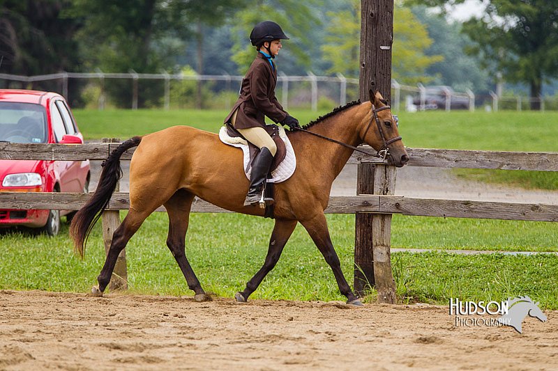 4H-2nd--072813-2513.jpg