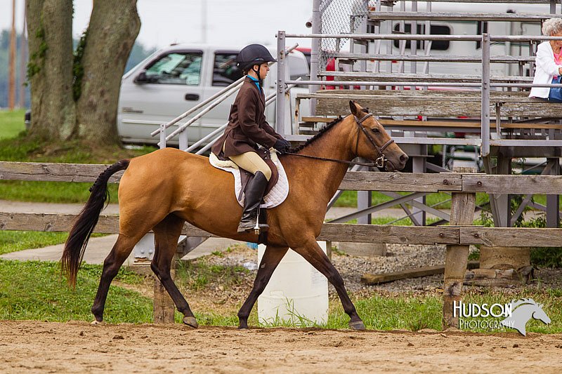 4H-2nd--072813-2515.jpg