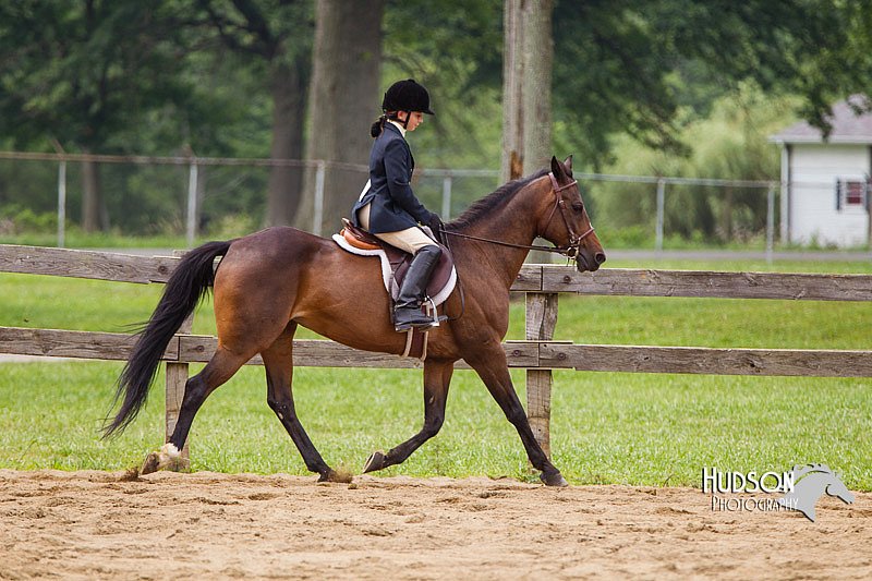 4H-2nd--072813-2516.jpg