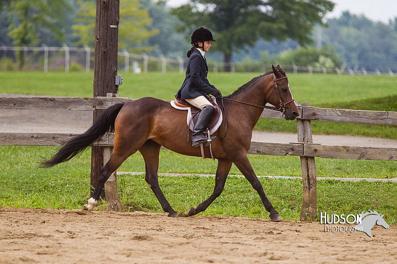 4H-2nd--072813-2519.jpg