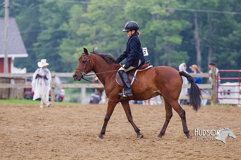 4H-2nd--072813-2952.jpg