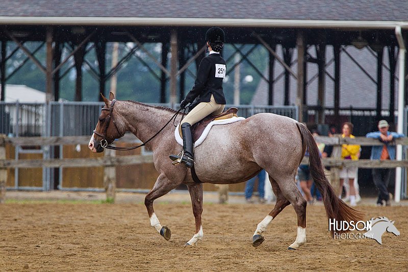 4H-2nd--072813-2955.jpg