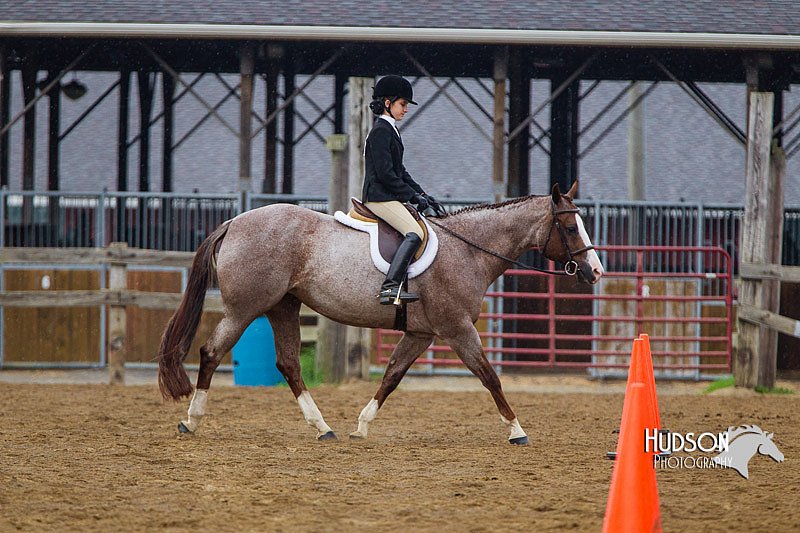4H-2nd--072813-2958.jpg