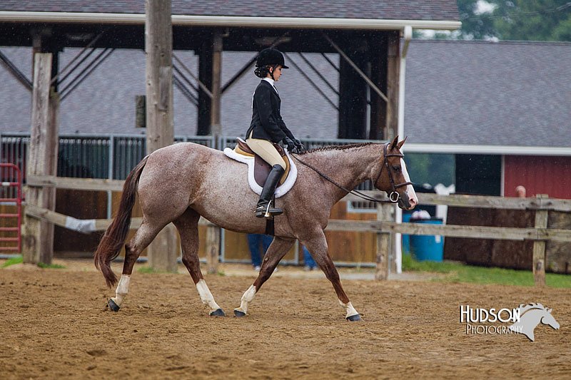4H-2nd--072813-2959.jpg