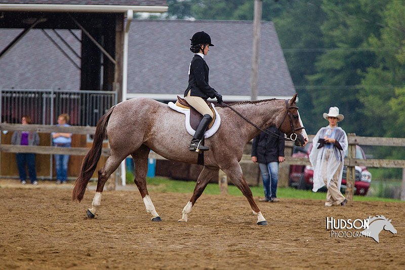 4H-2nd--072813-2960.jpg