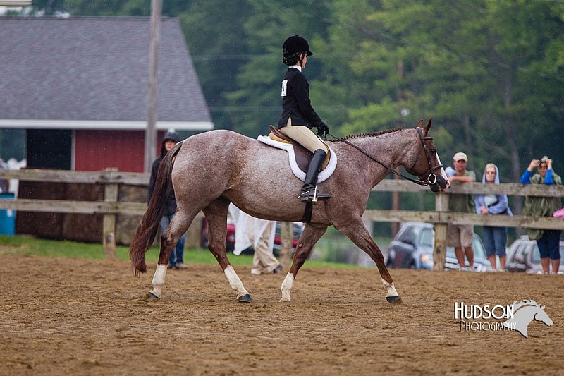 4H-2nd--072813-2961.jpg