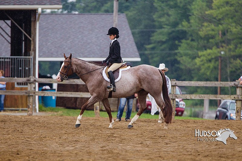 4H-2nd--072813-2962.jpg