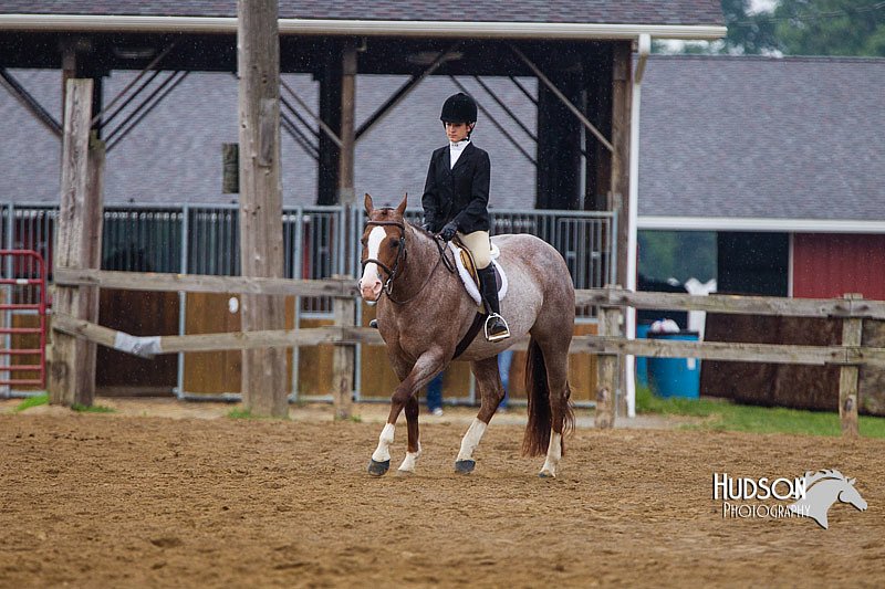 4H-2nd--072813-2963.jpg