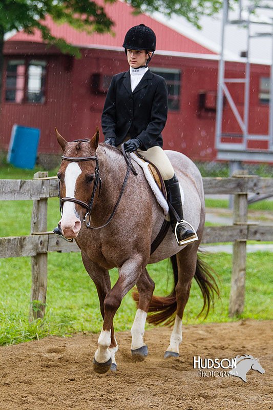 4H-2nd--072813-2967.jpg