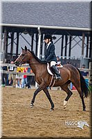 4H-2nd--072813-2935.jpg