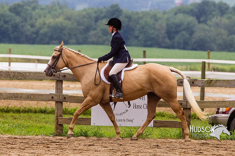 4H-2nd--072813-2107.jpg