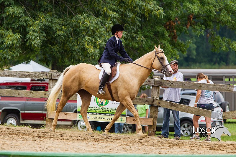 4H-2nd--072813-2110.jpg