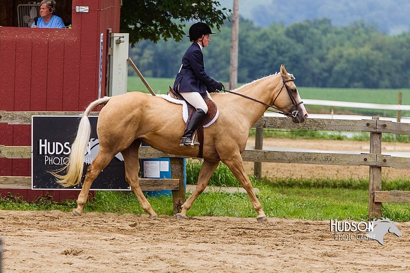 4H-2nd--072813-2113.jpg
